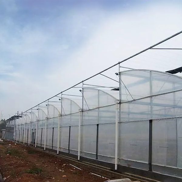 Multi span sawtooth greenhouse for commercial farming