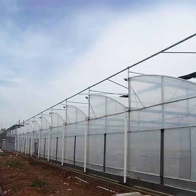 Premium Multi Span Sawtooth Greenhouse for Commercial Farming