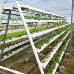 Smart vertical NFT hydroponic system with nutrient circulation control