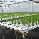 Space saving vertical NFT hydroponic system for urban agriculture