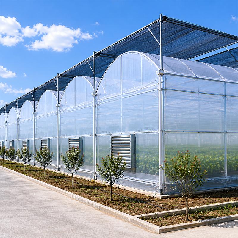 What Is Hydroponic Farming System?