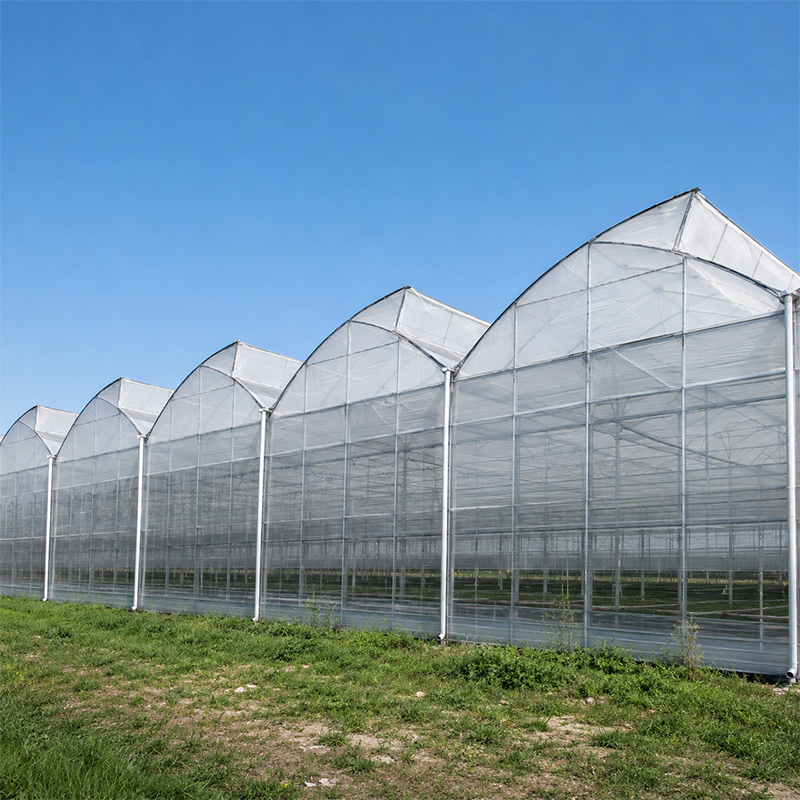 Sawtooth Greenhouse Guide: Types, Benefits, Costs and Applications