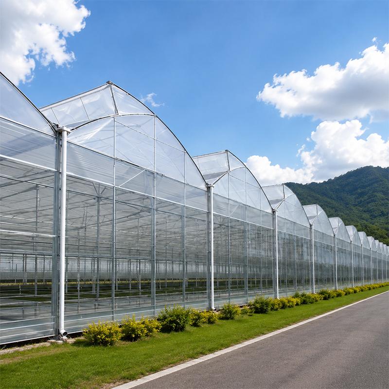 What Is Sawtooth Greenhouse System?