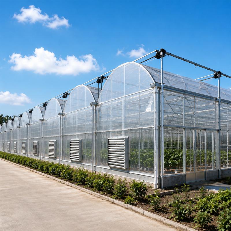 Greenhouse Cost in 2026 Full Guide