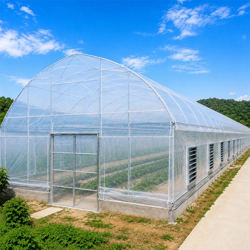 Greenhouse Design for Hot Climate Regions