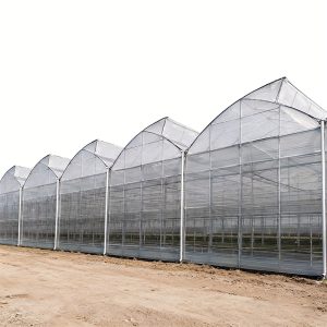Multi span sawtooth greenhouse for commercial farming
