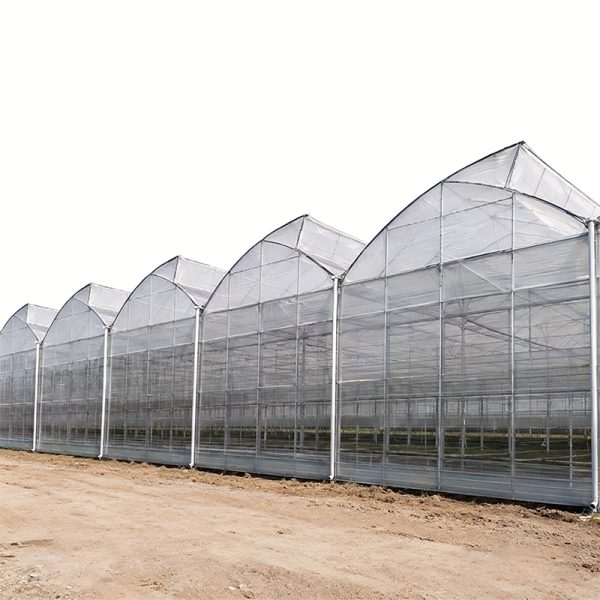 Multi span sawtooth greenhouse for commercial farming