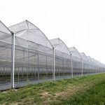 Commercial multi span sawtooth greenhouse for vegetables
