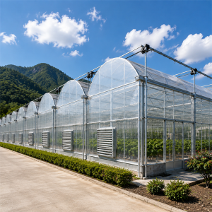 适用于现代农业的大型多跨塑料薄膜温室
