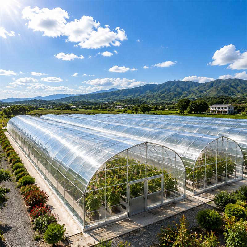 Commercial Greenhouse Crop Planning: From Production Goals to Farm Design