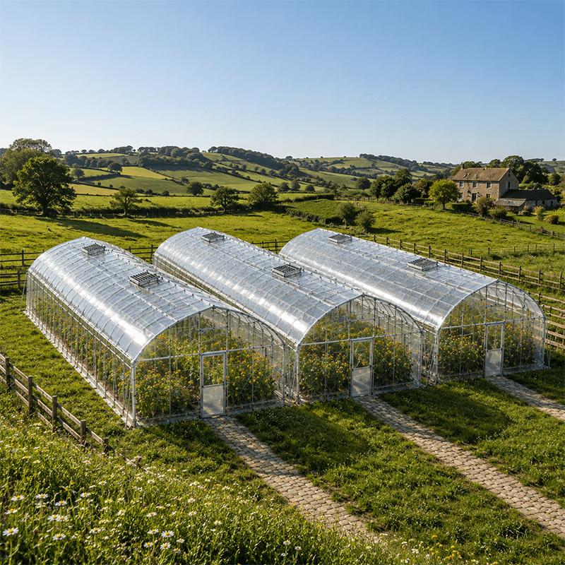 Commercial multi span film greenhouse for large scale vegetable production