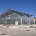 Hydroponic multi span film greenhouse for commercial crop cultivation