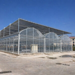 Hydroponic multi span film greenhouse for commercial crop cultivation
