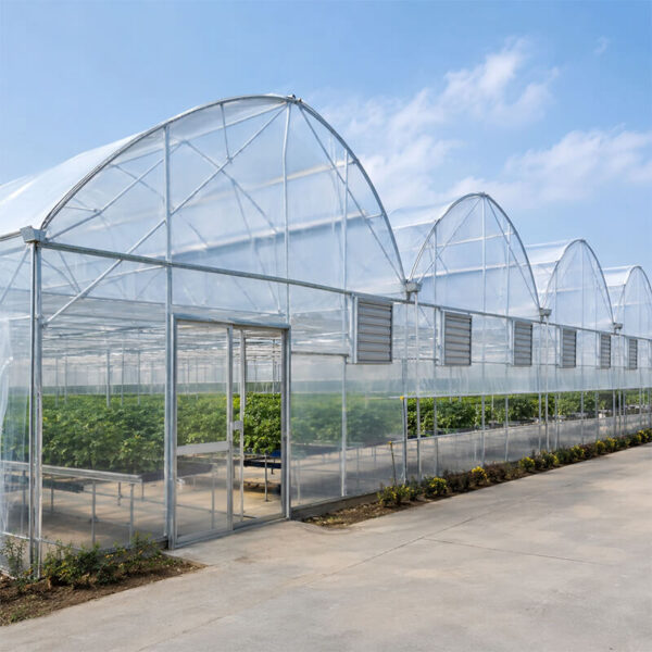 Modern multi span greenhouse structure with climate control system
