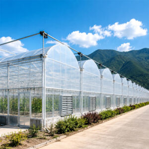 Customized multi span greenhouse for commercial crop cultivation