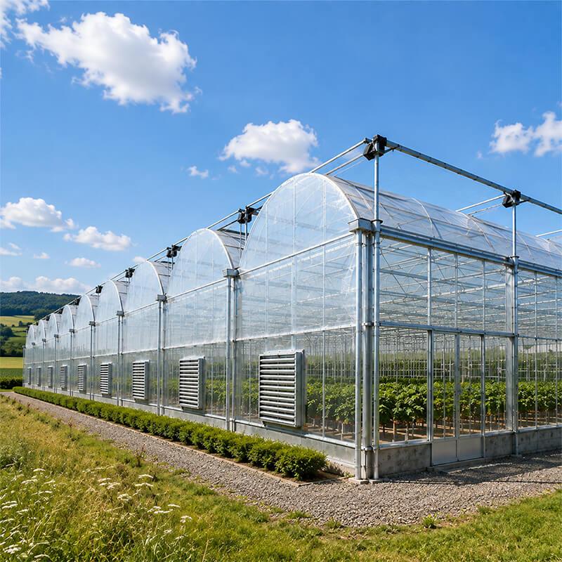 Commercial multi span film greenhouse for large scale vegetable production