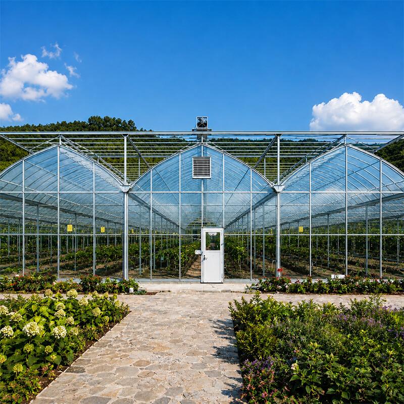 Commercial multi span film greenhouse for large scale vegetable production