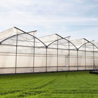 Film Butterfly Greenhouse