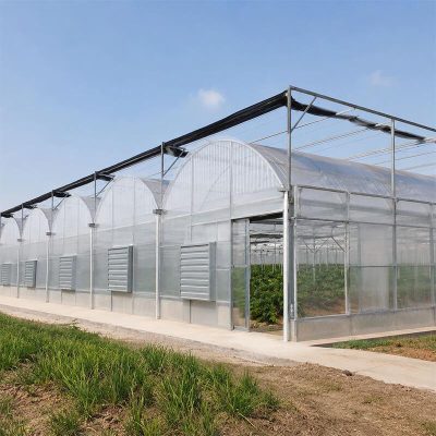 Greenhouse Drainage and Water Management for Commercial Farms