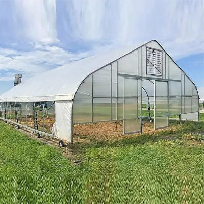 Single Span Tunnel Greenhouse video